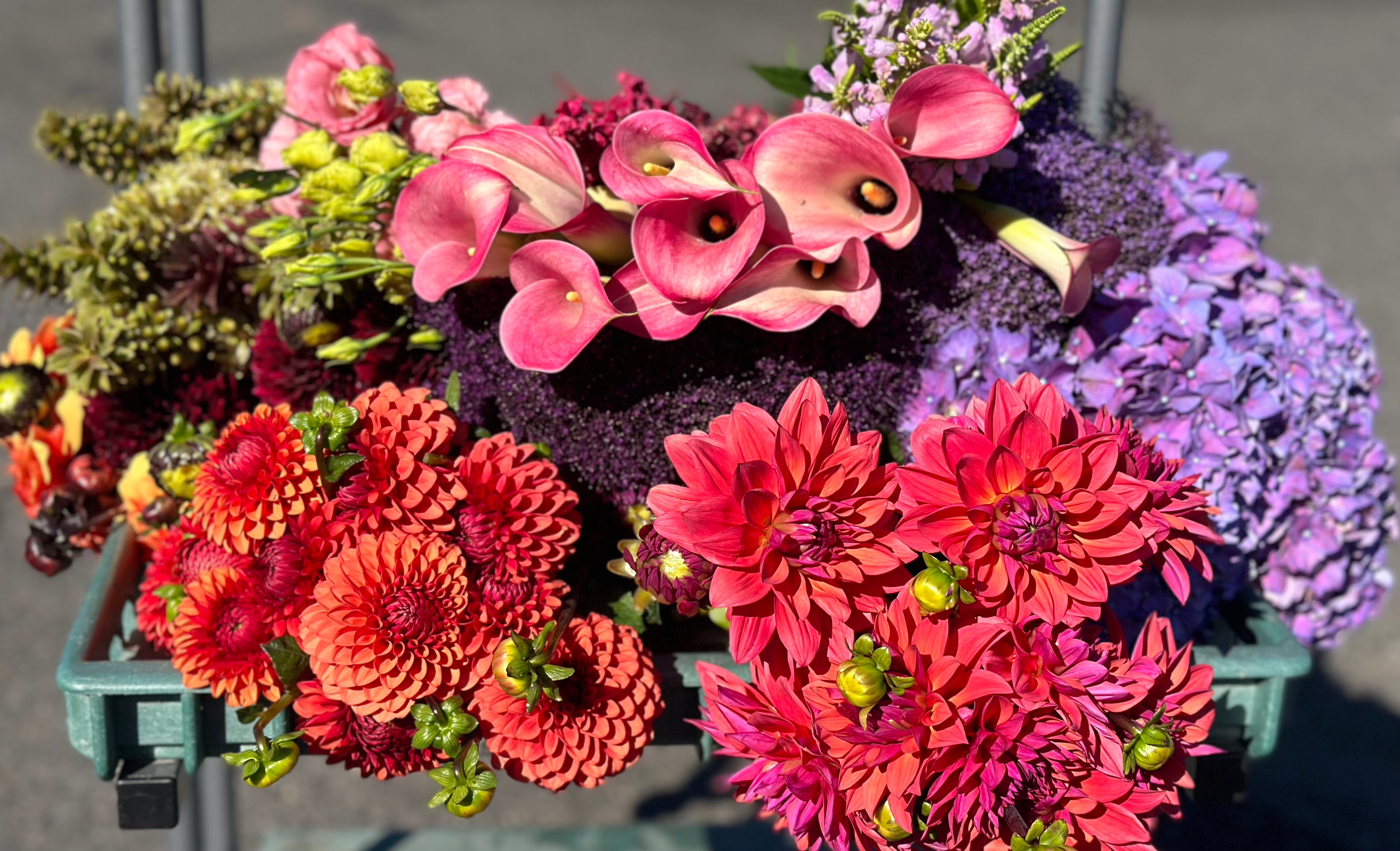 Portland Florist  Flower Delivery by Lubliner Florist